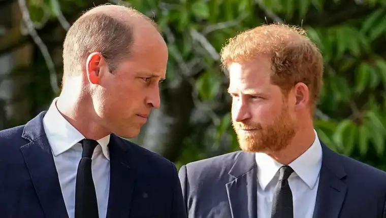 prinčevi william i harry