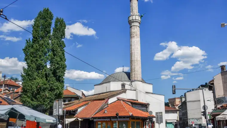 cekrekcijina