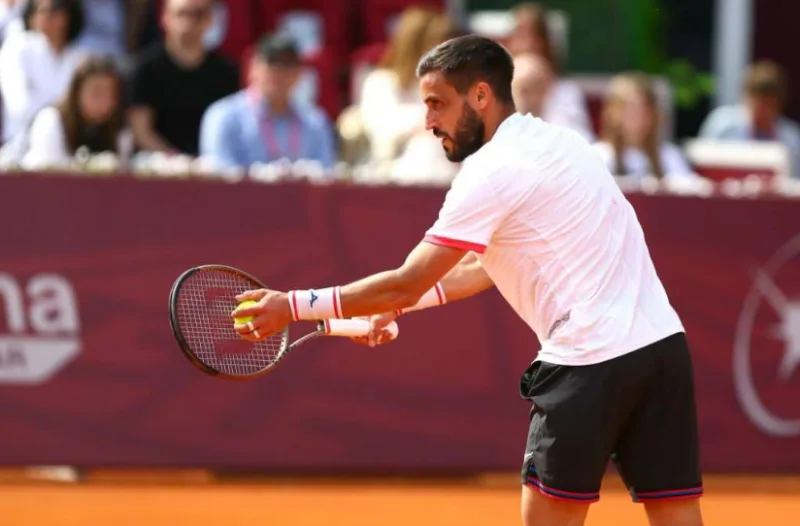 dzumhur 5