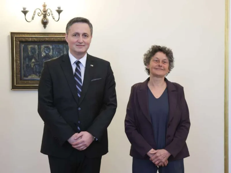 denis becirovic tineke strik
