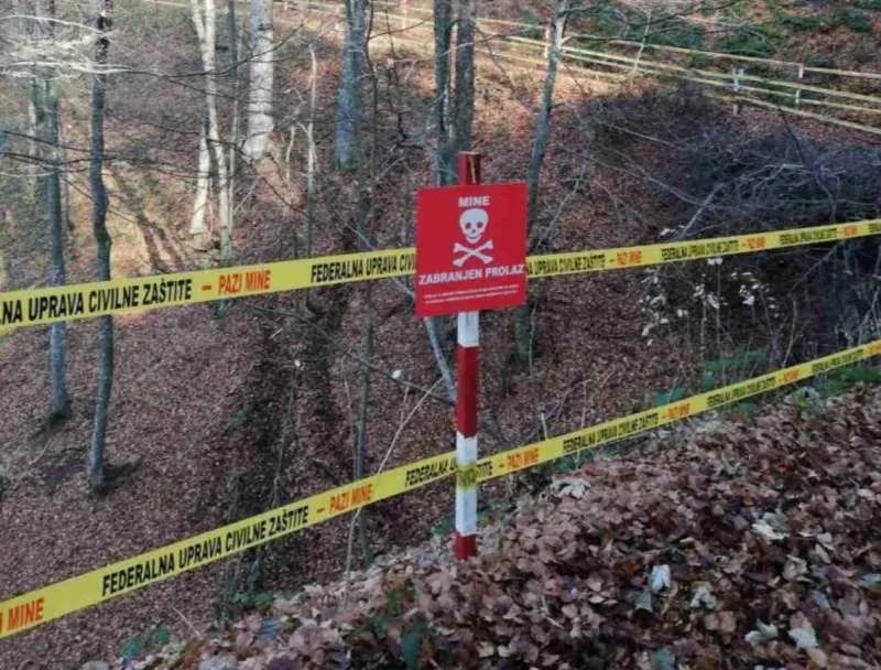 minsko polje