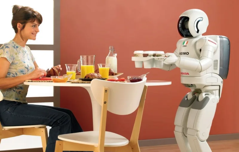 kućni robot