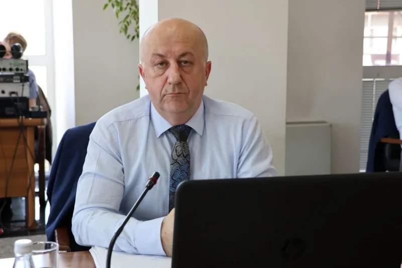 nedzad lokmic11