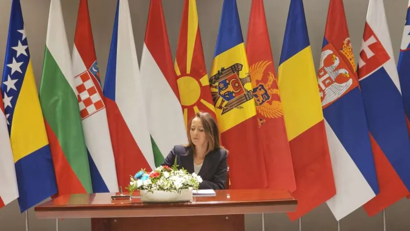 dubravka bosnjak