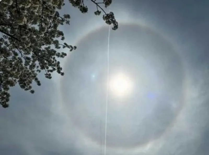 halo