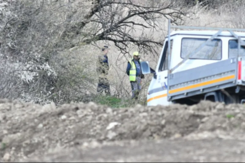 danka potraga