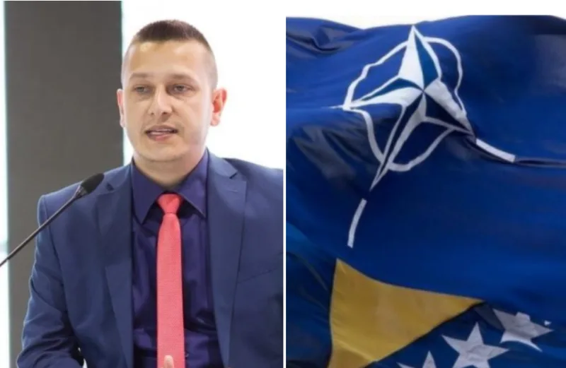 goganovic nato 1
