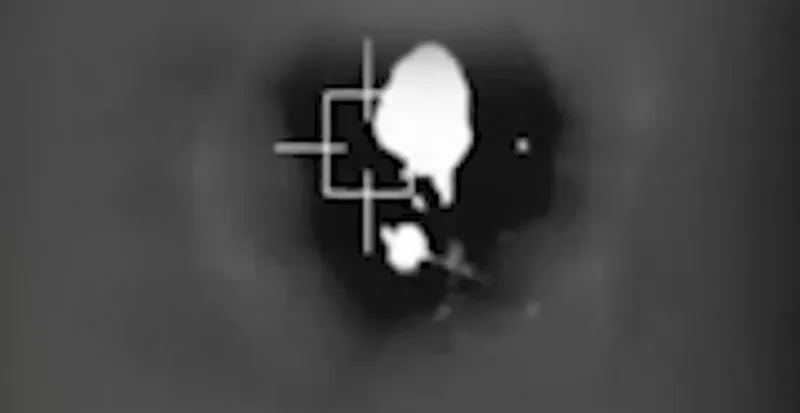 idf