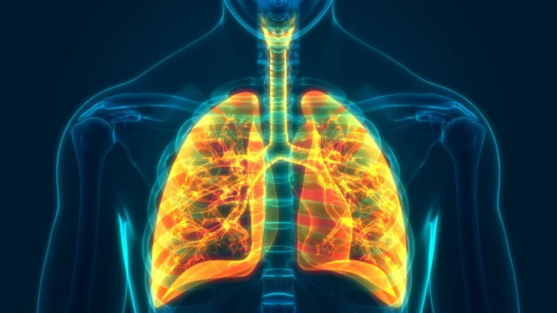 plin radon rak pluća naučno istraživanje