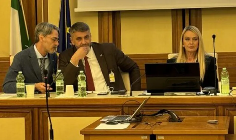 emir suljagić