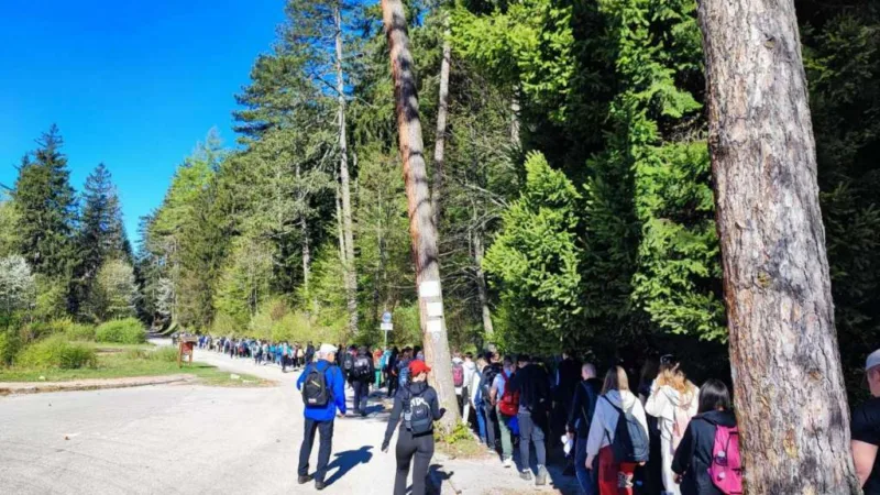 škoa planinarstva