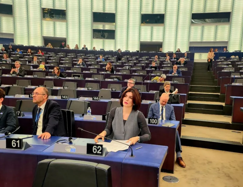 sabina vijeće evrope 1