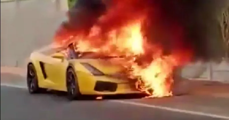 lambo