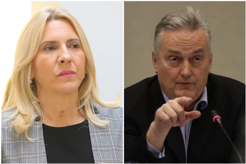 cvijanovic lagumdzija