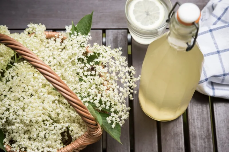 Homemade,Elderberry,Juice,In,A,Bottle,On,The,Table,In