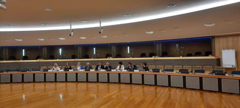 delegacija eu