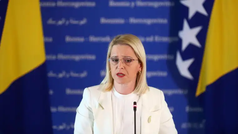 novakovic bursac
