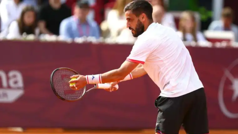 dzumhur 5
