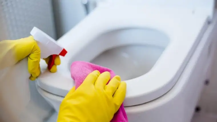 wc šolja čišćenje