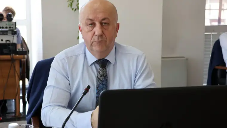 nedzad lokmic11