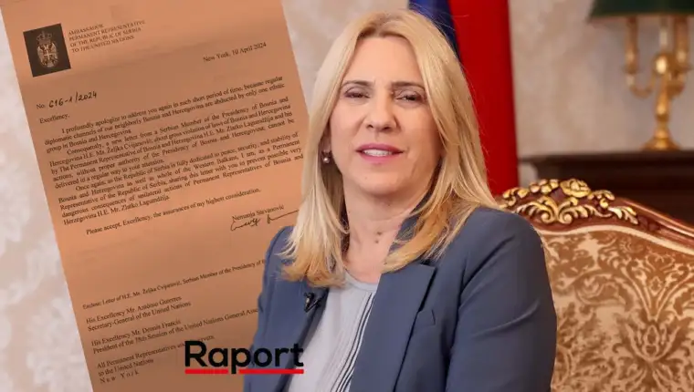 zeljka cvijanovic papir