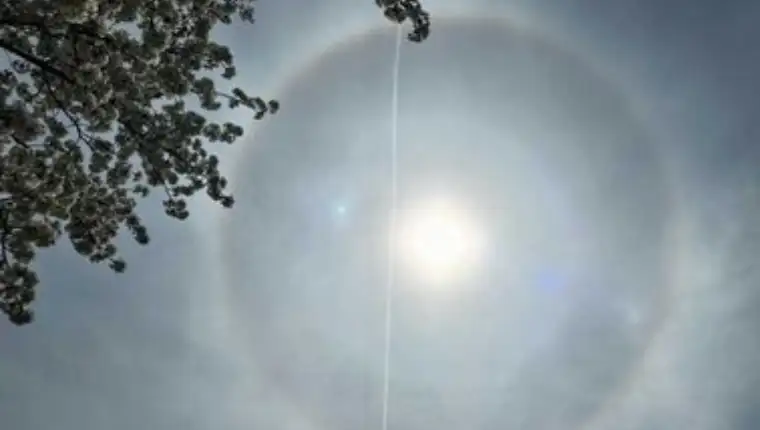 halo