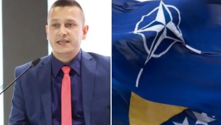 goganovic nato 1