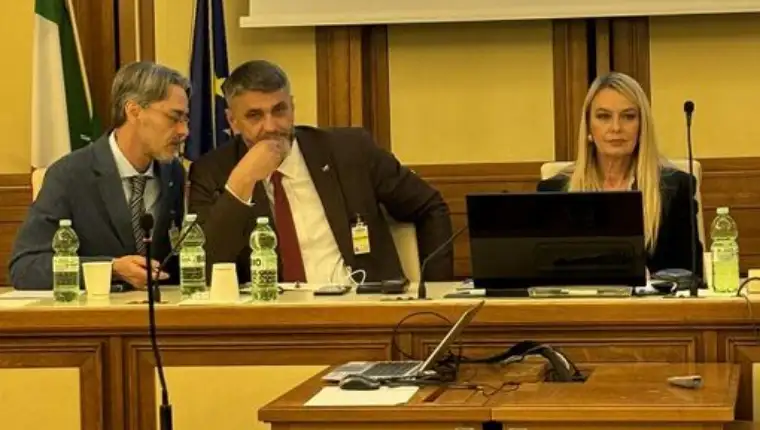 emir suljagić