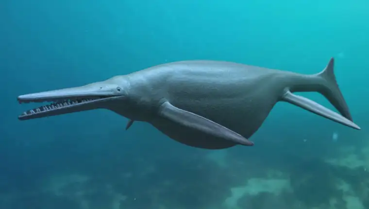 ihtiosaurus