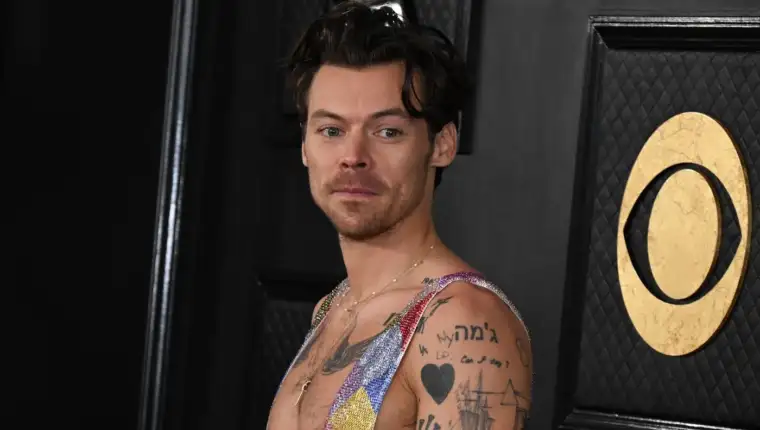 harry styles