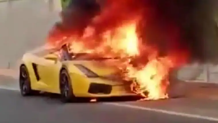 lambo