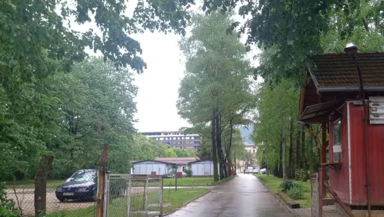 psihijatrija BL