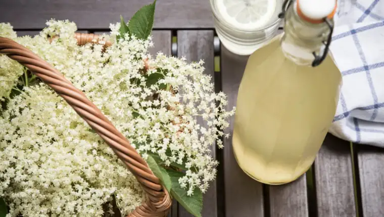 Homemade,Elderberry,Juice,In,A,Bottle,On,The,Table,In