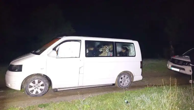 kombi krijumčarenje