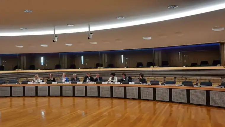 delegacija eu