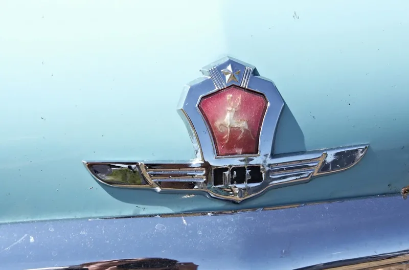 29674_profimedia-volga_f