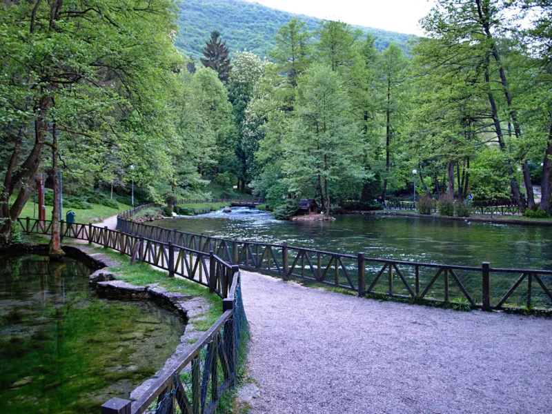 vrelo bosne