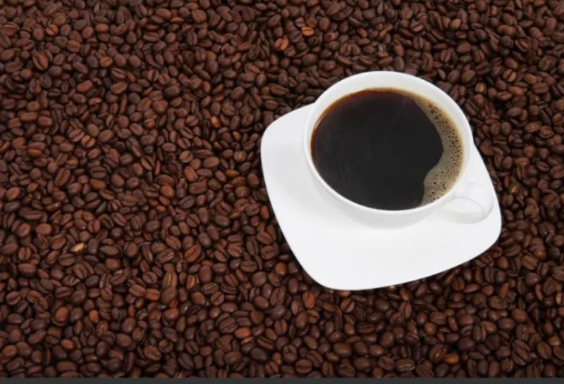 kafa