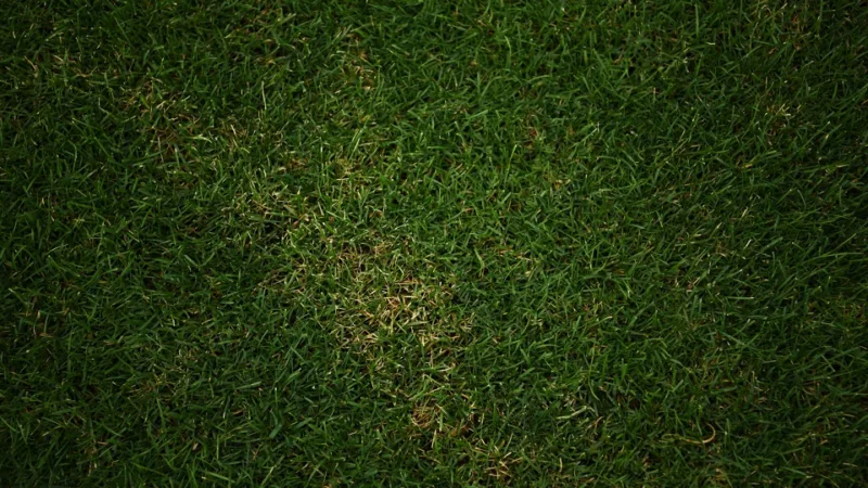 velez-stadion
