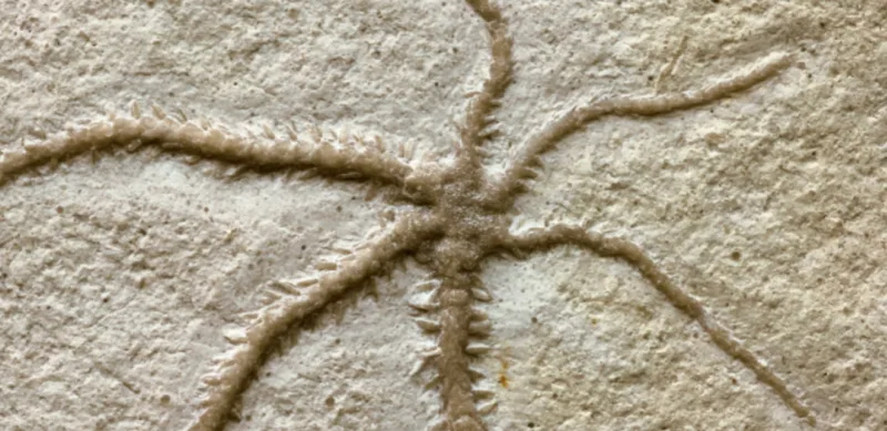 Snimka zaslona 2024-05-16 155529