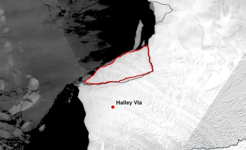 halley