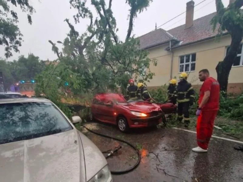 tragedija