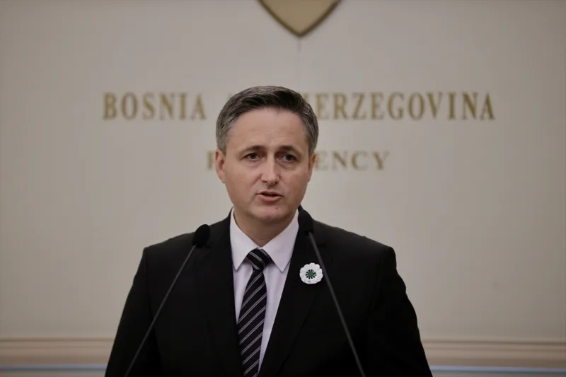 denis becirovic aa (3)