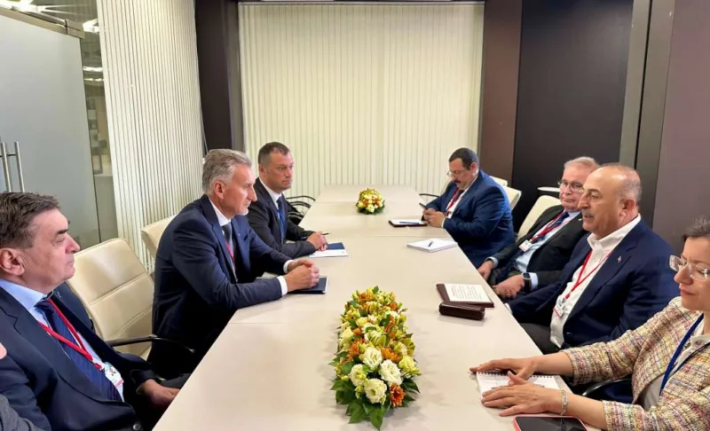 delegacije