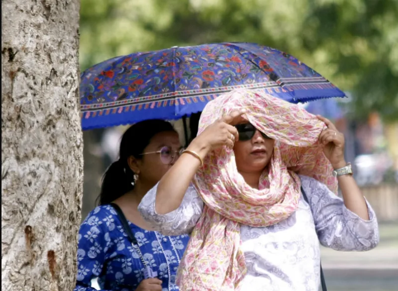 nu delhi 1
