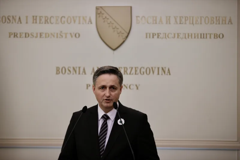 denis becirovic aa (4)