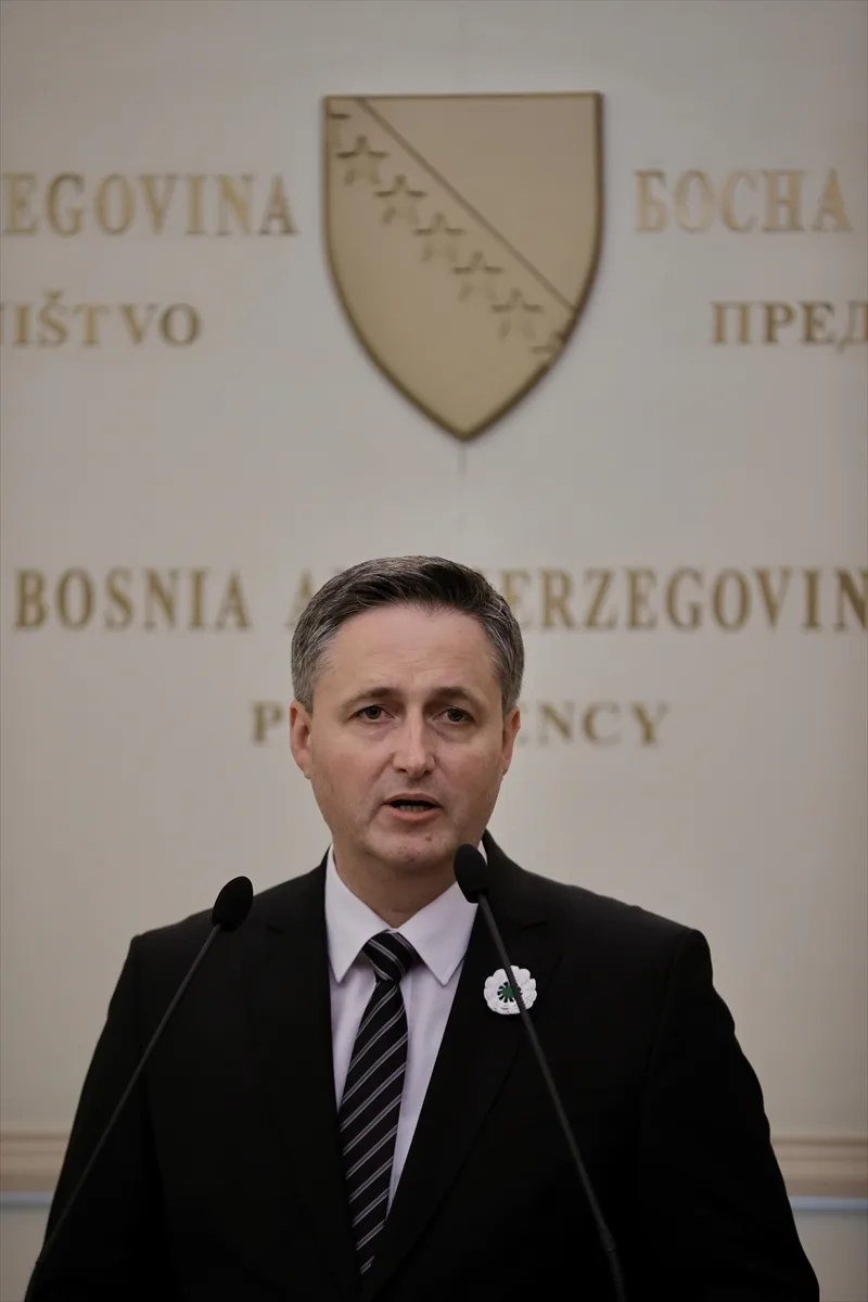 denis becirovic aa (2)