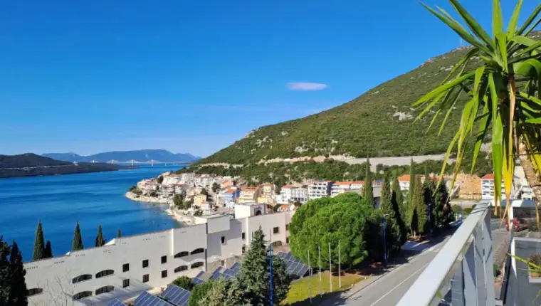 neum 5