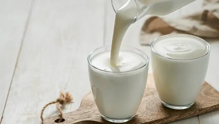 jogurt