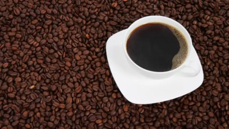 kafa